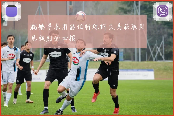 鹈鹕寻求用赫伯特琼斯交易获取贝恩级别的回报
